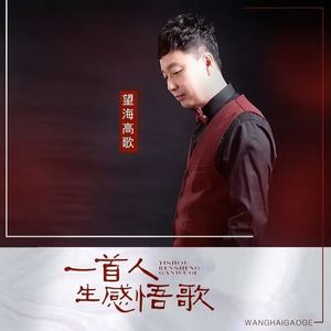 一首人生感悟歌