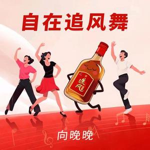 自在追风舞