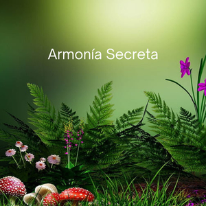 nterludio de la Luz de las Estrellas