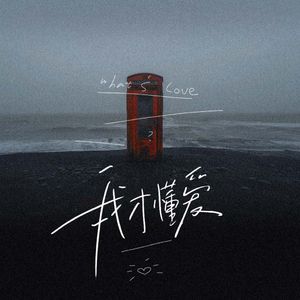 我才懂爱（我才懂爱可你早已不在）