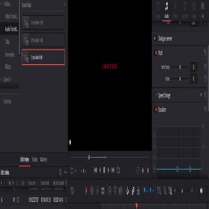 I AM NOT MUSIC (feat. DJ Horse) (Interlude)