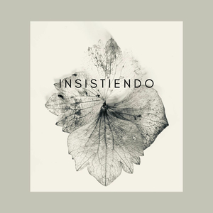 insistiendo