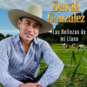 Las Bellezas de Mi Llano