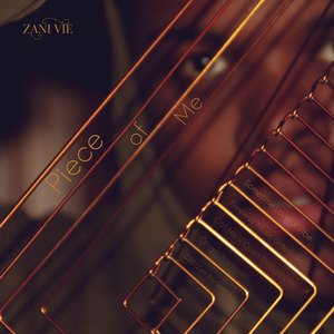 Z.B.S (Zani Boy Summer)