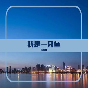 我是一只鱼