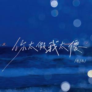 你太假我太傻 (DJ德朋版)