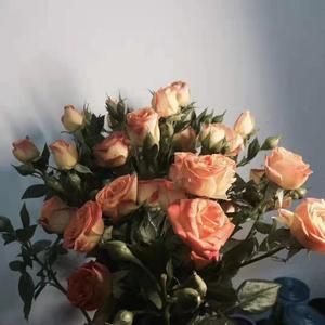 林俊杰-爱你没有保留（FeFe / zzZero remix）