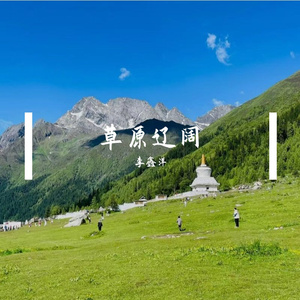 草原辽阔