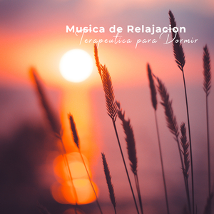 Reductor del Insomnio