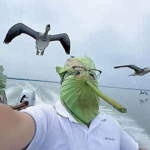 与风共舞的琥珀时光