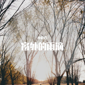 窗外的雨滴