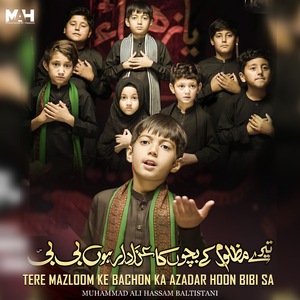 Tere Mazloom Ke Bachon Ka Azadar Hoon Bibi S A