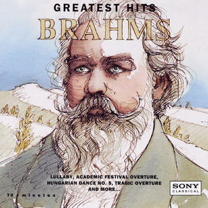 Violin Concerto in D Major, Op. 77:I. Allegro non troppo
