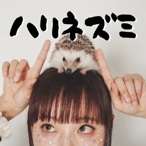 ハリネズミ