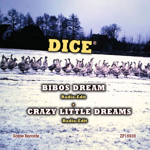 Bibos Dream (Radio-Edit)