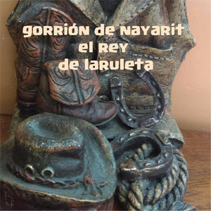 Gorrion de Nayarit el Rey de las Ruletas