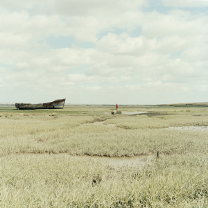 The Harbour