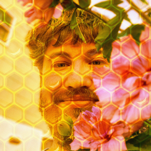 hello tyler (new york version)