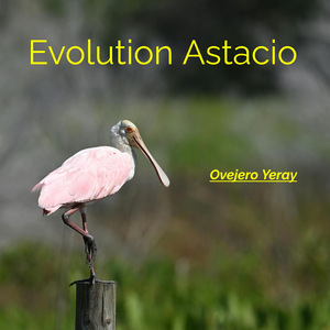Evolution Astacio