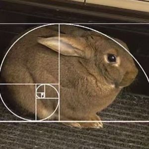 【BEAT】pluggnb x plugg type beat