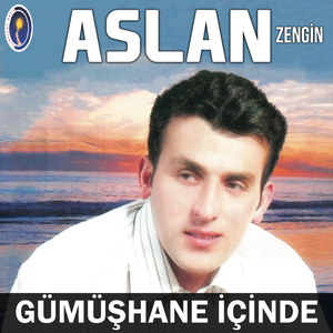 Gözümden Aktı Yaşlar