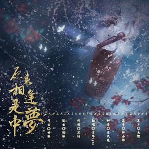 原来相逢是梦中