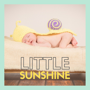 Sonata in a Major K 331: I. Andante Grazioso (Thème)