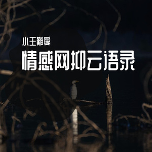 小王難愛-伤感语句（小王難愛 remix）