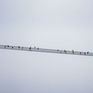 诸神退让_骑士版