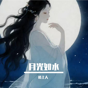静静的月光