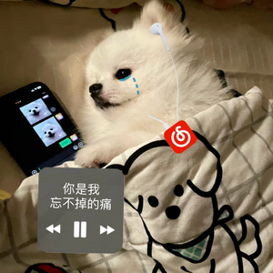 你是我忘不掉的痛