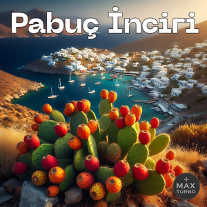 Pabuç İnciri