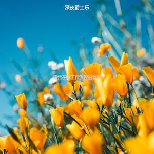 读平衡的轻音乐