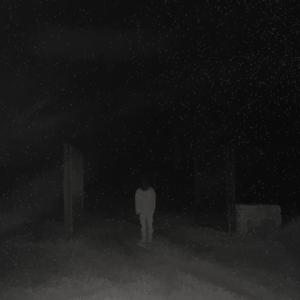 midnight silhouettes