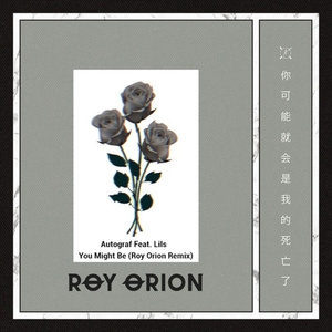 You Might Be (Roy Orion Remix)