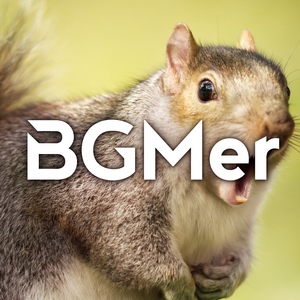 そんなバカな！