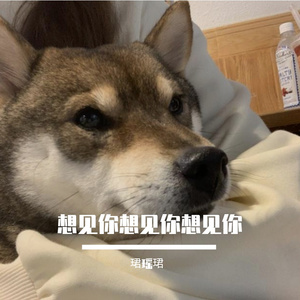 想见你想见你想见你