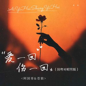 爱一回伤一回 (国粤对唱男版)