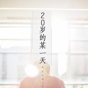 花粥-二十岁的某一天(Remix)