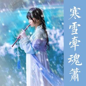 武聆音雄-寒雪牵魂箫（唐丹岚 remix）