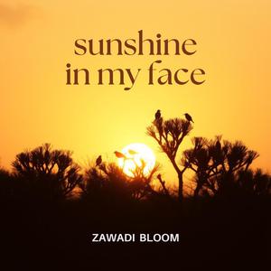 sunshine in my face (Single)