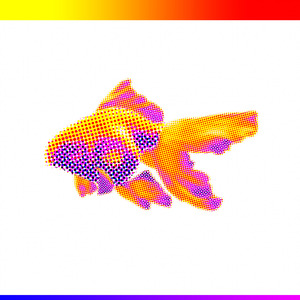 flutter (waiting for you)