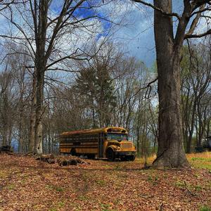 Lollys shoebox (NIGHTCORE)