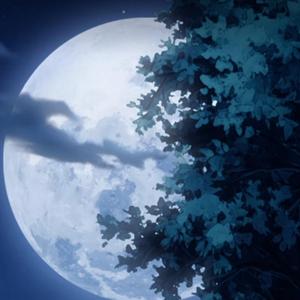 Moonlight (feat. Juaxo & G4rbage)