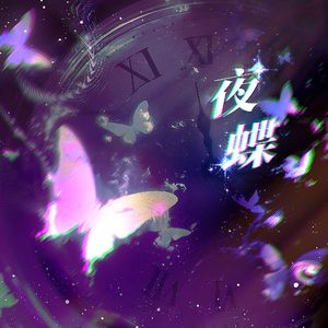 夜蝶