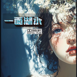 一面湖水（live） 伴奏