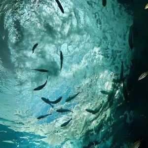 而你又该怎么说