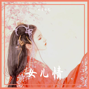 群星-女儿情（古筝版）（大童小艺 remix）