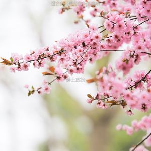 适合办公事务爵士