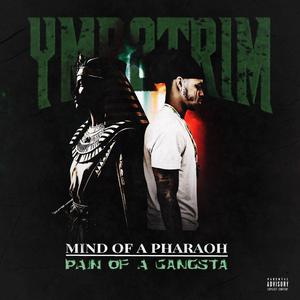 Grindin' Til Shinnin'